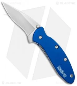 Kershaw Chive Assisted Opening Knife Navy Blue (1.94" Stonewash) 1600NBSW