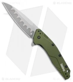 Kershaw Dividend Assisted Opening Knife Olive (3" Composite) 1812OLCB