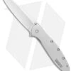 Kershaw Random Leek Reverse Tanto Assisted Opening Knife (3" Bead Blast) 1660R