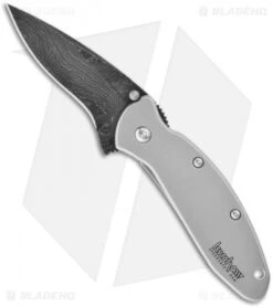 Kershaw Scallion Assisted Opening Knife (2.25" Damascus) 1620DAM